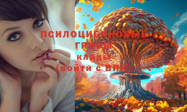 скорость Каменногорск