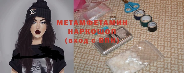 стаф Каменка