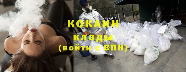 стаф Каменка