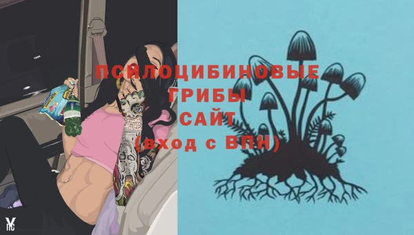 скорость Каменногорск