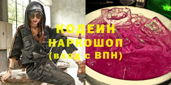 стаф Каменка