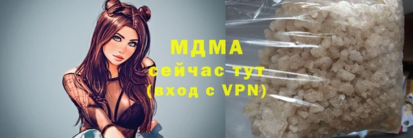 стаф Каменка