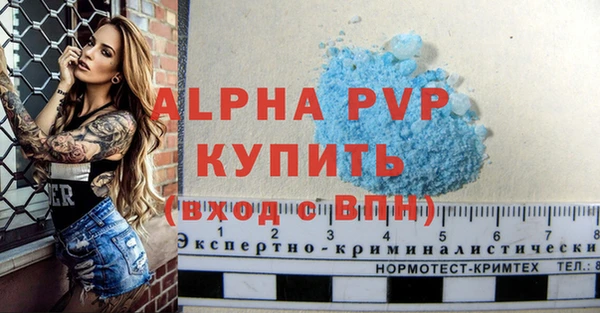 скорость Каменногорск