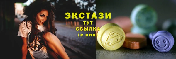 стаф Каменка