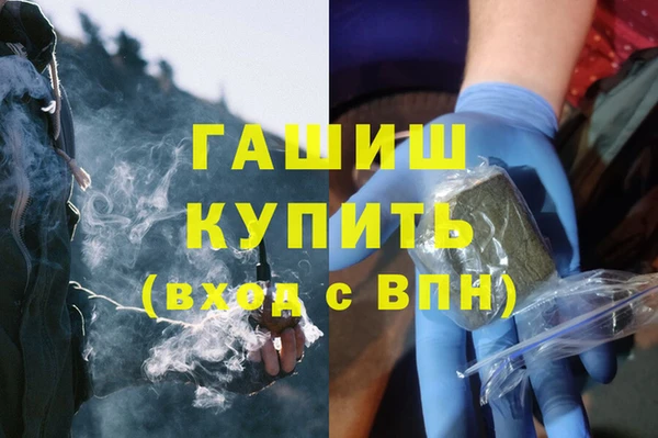 стаф Каменка