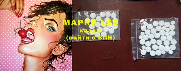 стаф Каменка
