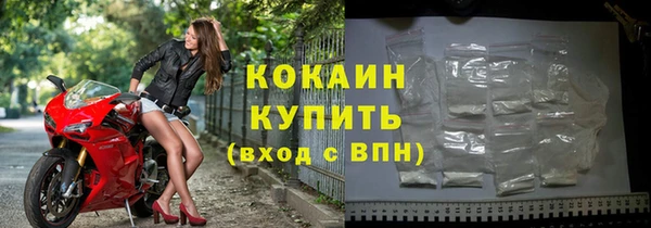стаф Каменка