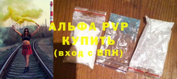 стаф Каменка