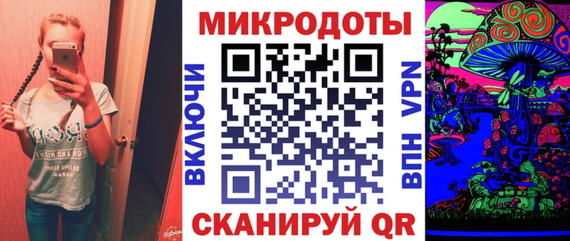 магазин продажи   Кирс  Галлюциногенные грибы Psilocybe 