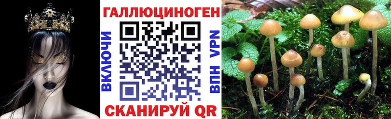 Псилоцибиновые грибы Magic Shrooms Кирс
